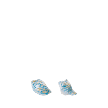 Sea Foam - Salt&Pepper