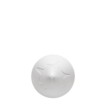 Duetto White - Dome