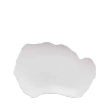 Reef - Plate