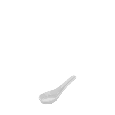 Asian Spoon