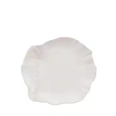 Reef - Plate